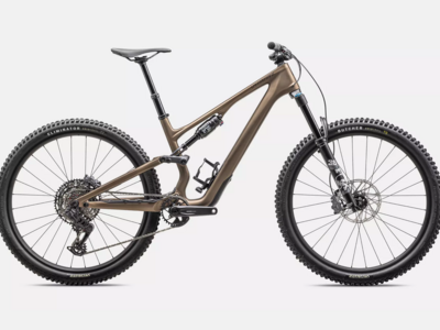 Santa Cruz BRONSON2017 カーボンCC original_5010_CC_XX1.jpeg?